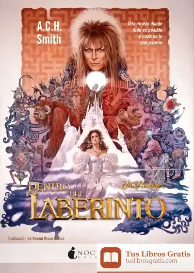Descargar Dentro Del Laberinto