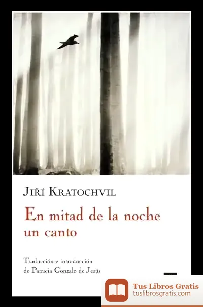 Descargar En Mitad De La Noche Un Canto
