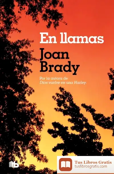 Descargar En Llamas de Joan Brady