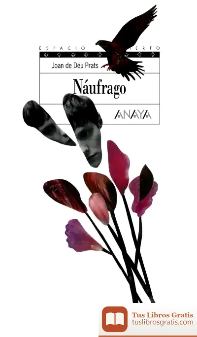 Descargar Náufrago de Joan de Déu Prats
