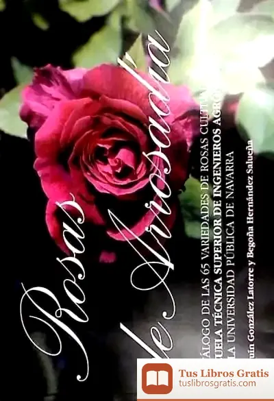 Descargar Rosas De Arrosadía