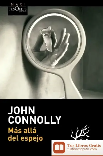 Descargar Más Allá Del Espejo de John Connolly