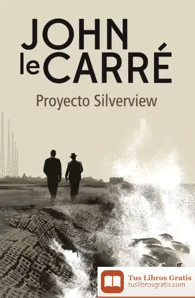 Descargar Proyecto Silverview