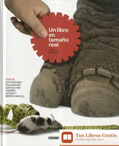 Descargar Un Libro En Tamaño Real de Luis Fernández Roces