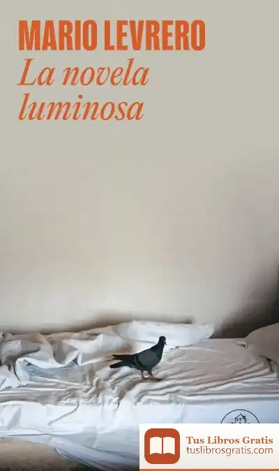 Descargar La Novela Luminosa