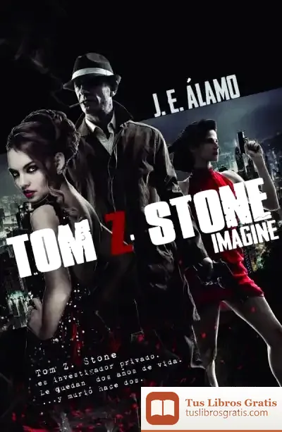 Descargar Tom Z Stone