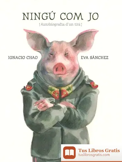 Descargar Ningú Com Jo