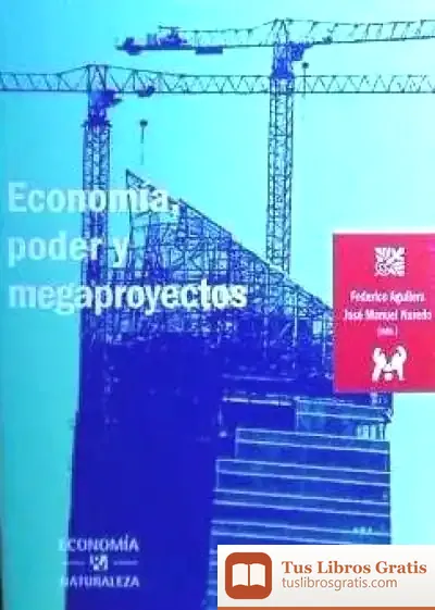 Descargar Economia, Poder Y Megaproyectos