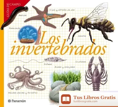 Descargar Los Invertebrados