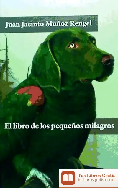 Descargar El Libro De Los Pequeños Milagros de Juan Jacinto Muñoz Rengel