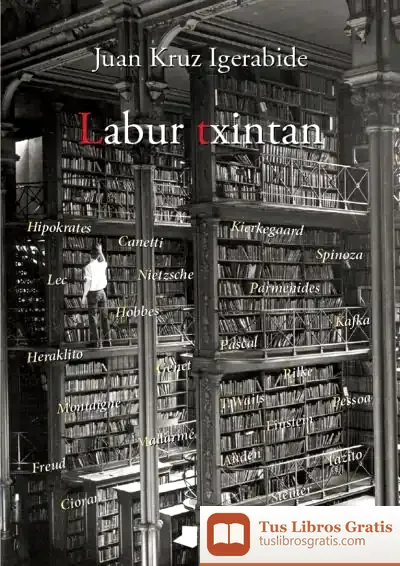 Descargar Labur Txintan de Juan Kruz Igerabide