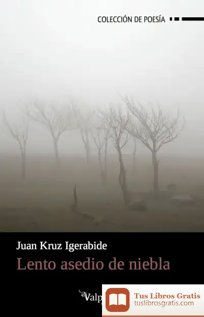 Descargar Lento Asedio De Niebla de Juan Kruz Igerabide