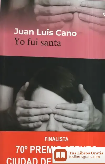Descargar Yo Fui Santa
