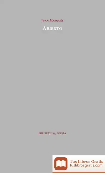 Descargar Abierto de Juan Fernando Sellés Dauder