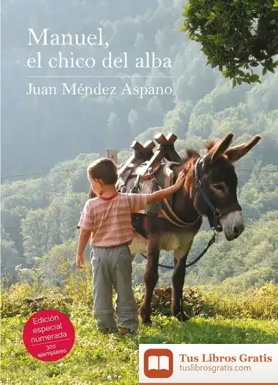 Descargar Manuel, El Chico Del Alba de Juan Méndez Aspano