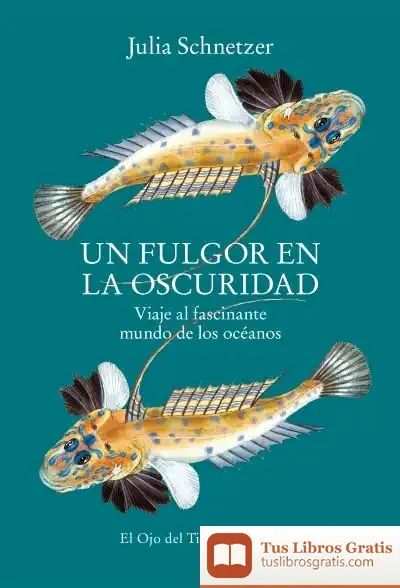 Descargar Un Fulgor En La Oscuridad de Julia Schnetzer