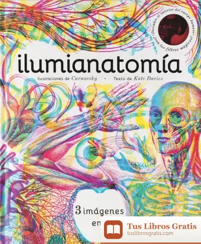 Descargar Ilumianatomía