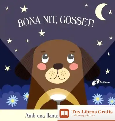 Descargar Bona Nit, Gosset! de Katie Button