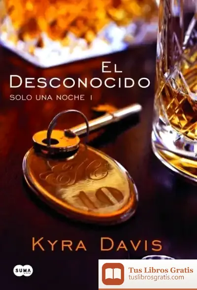 Descargar El Desconocido de Kyra Davis