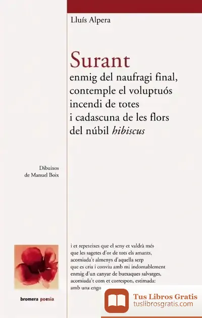 Descargar Surant Enmig Del Naufragi Final