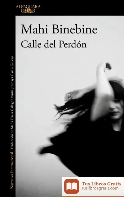 Descargar Calle Del Perdón