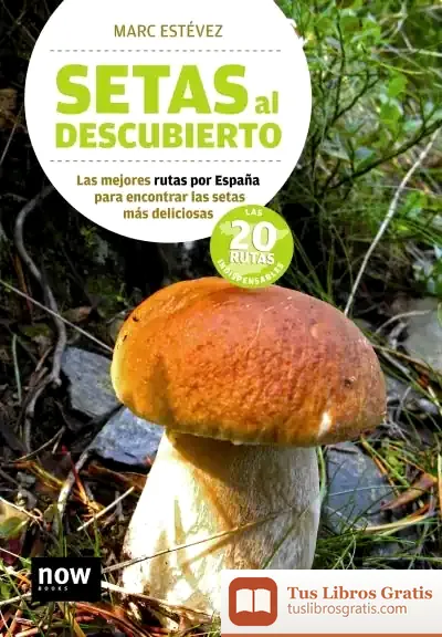 Descargar Setas Al Descubierto