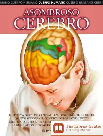 Descargar Asombroso Cerebro de Valérie Tasso