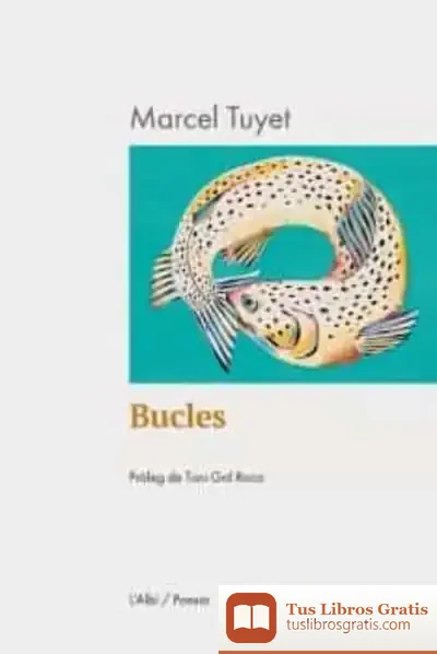 Descargar Bucles