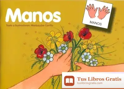 Descargar Las Manos de María Elisa Carrillo Quintela
