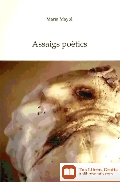 Descargar Assaigs Poetics