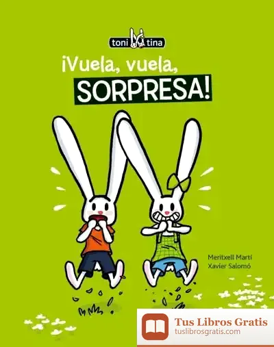 Descargar ¡Vuela, Vuela, Sorpresa! de Meritxell Martí