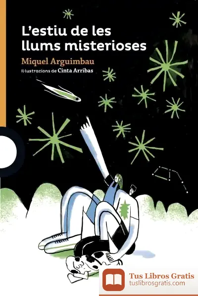 Descargar L'Estiu De Les Llums Misterioses de Miquel Arguimbau Latorre