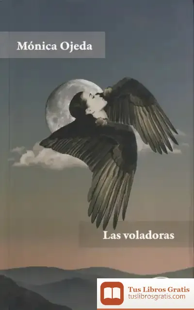 Descargar Las Voladoras
