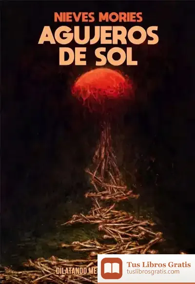 Descargar Agujeros De Sol de Nieves Mories