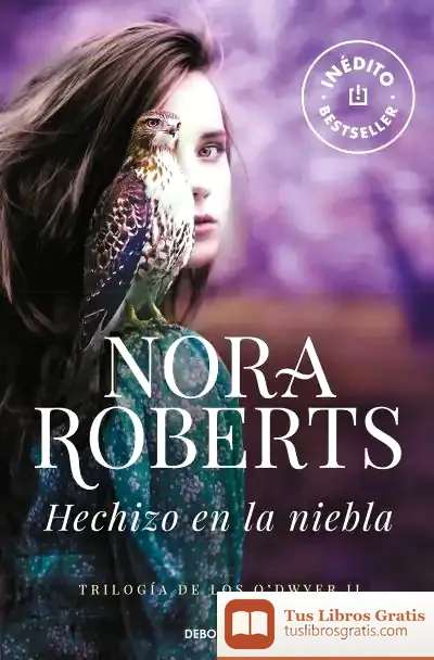 Descargar Hechizo En La Niebla