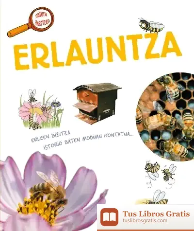 Descargar Erlauntza