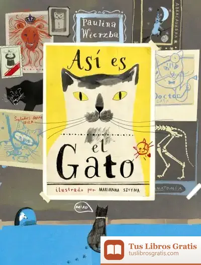 Descargar Así Es El Gato