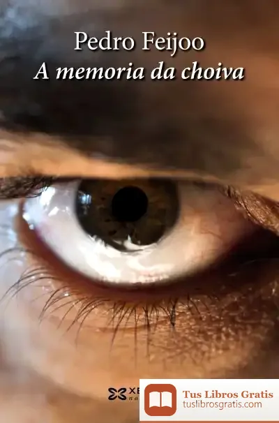 Descargar A Memoria Da Choiva de Pedro Feijoo Barreiro