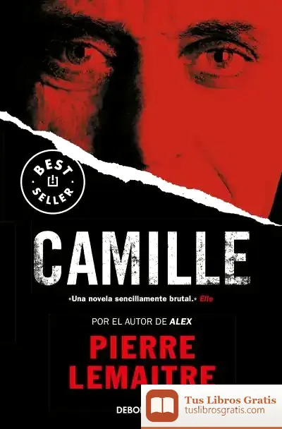 Descargar Camille de Pierre Lemaitre