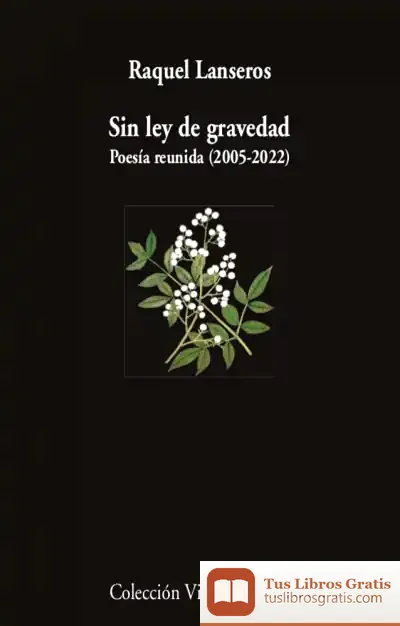 Descargar Sin Ley De Gravedad