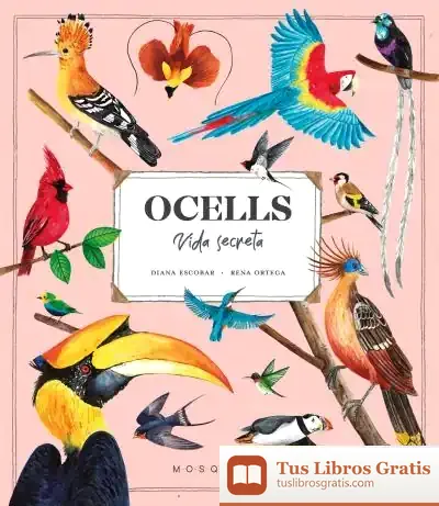 Descargar Ocells. Vida Secreta