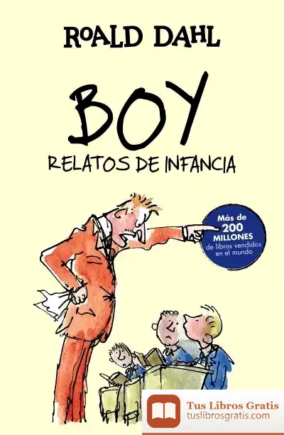Descargar Boy : Relatos De La Infancia