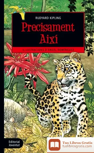 Descargar Precisament Així