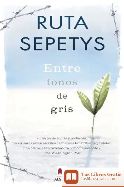 Descargar Entre Tonos De Gris