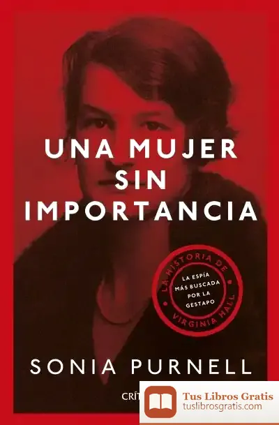 Descargar Una Mujer Sin Importancia