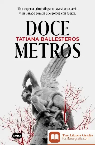 Descargar Doce Metros