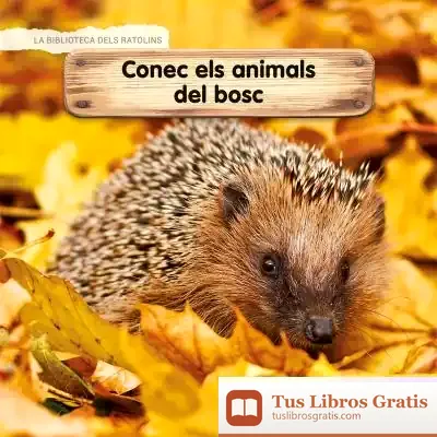 Descargar *Aprenc Els Animals Del Bosc de Teresa Broseta