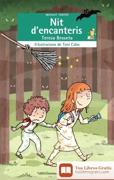 Descargar Nit D'Encanteris de Teresa Broseta