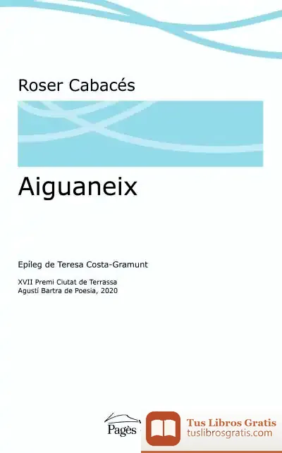 Descargar Aiguaneix