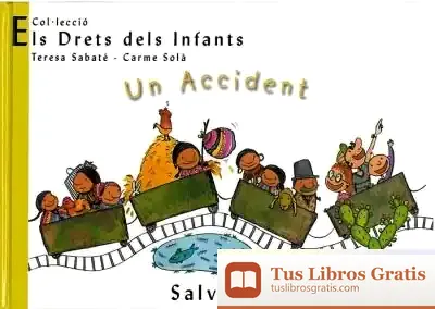 Descargar Un Accident de Teresa Sabaté I Rodié